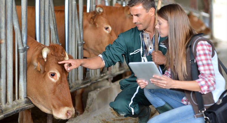 Major cattle-feed supplier improves on-field performance of sales executives supported by a mobility solution