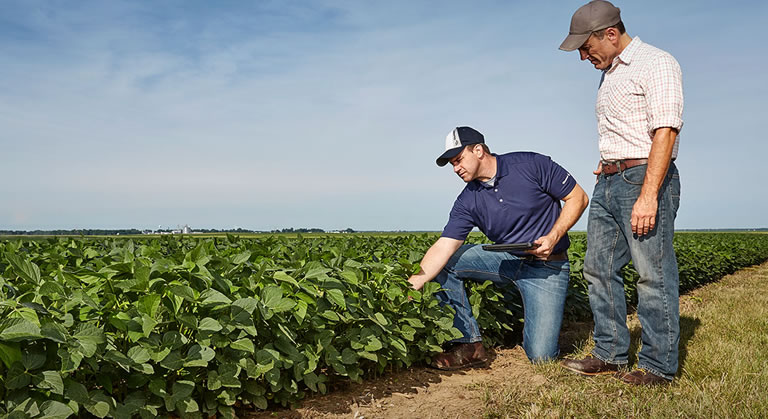 Solution to streamline on-field executives visit to Dealers/Farmers, to improve repeat orders by nearly 90%.